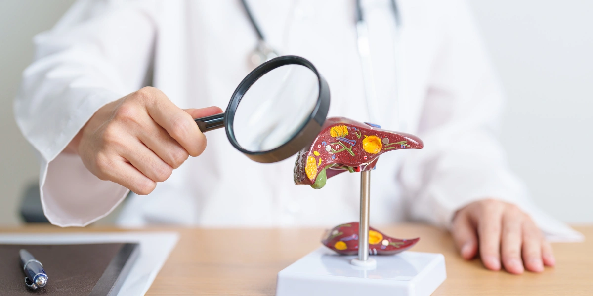 How Jaundice Affects the Liver